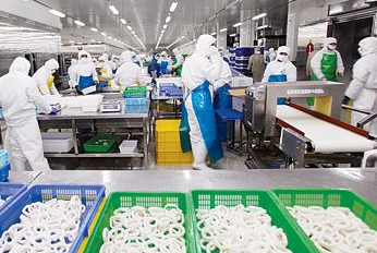 开办食品加工厂的准备工作