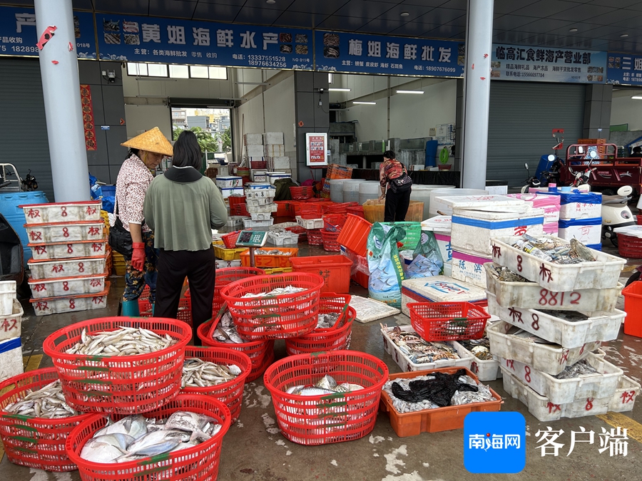 临高渔港 满载而归交易忙，水产市场购销旺