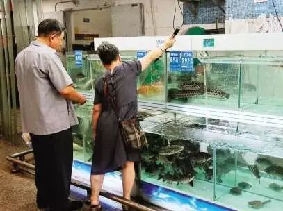 佛山淡水鲜活水产品质量安全监管升级加码，筑牢产地到餐桌的“防火墙”