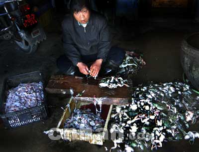 从死牛蛙到“田鸡” 水产品收购链条中的加工环节解析