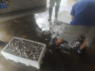 高新区开展伏季休渔期间渔业安全生产检查行动，保障水产品收购流通平稳有序