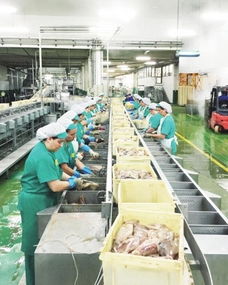 上海水产集团 全产业链布局，从渔场到市场的品质保障