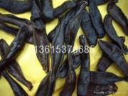 微山湖自然宝库 水蛭、蚂蟥的水产价值与购销中心收购指南