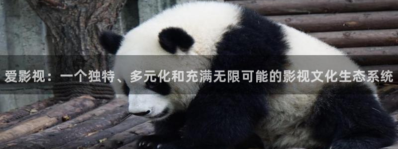 爱影视：一个独特、多元化和充满无限可能的影视文化生态系统