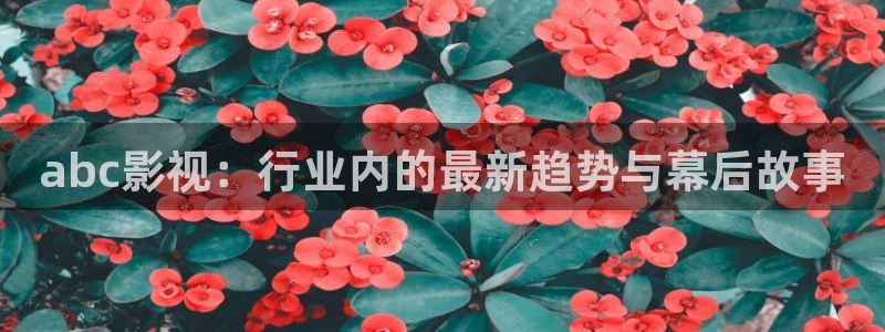 abc影视：行业内的最新趋势与幕后故事