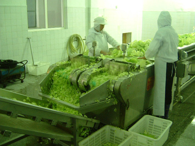 旧食品生产线设备荆门进口报关与水产品收购流程解析