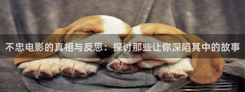 不忠电影的真相与反思：探讨那些让你深陷其中的故事