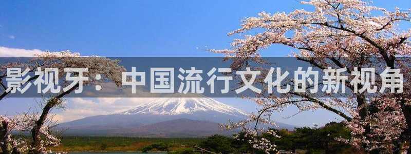 影视牙：中国流行文化的新视角