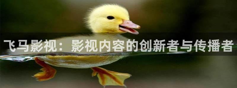 飞马影视：影视内容的创新者与传播者