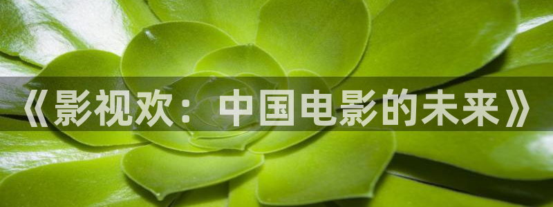 《影视欢：中国电影的未来》