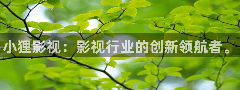 小狸影视：影视行业的创新领航者。